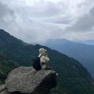 夫子的头像-小哥网