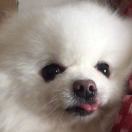 那就这样吧！-风行者社区