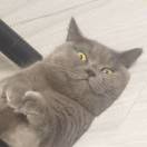 黃英俊