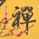 梁靖琪