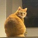 许炜呈