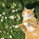 用户62197071 - 三米星球：游戏人&互联网人终身成长的平台-三米星球：游戏人&互联网人终身成长的平台