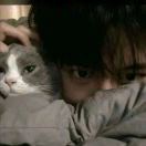 Sakura.的头像-cok论坛 - AGREE动漫游戏