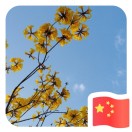 一笑花無色