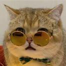 123456xa的头像-小哥网