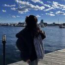 纽约(纽约州)求租