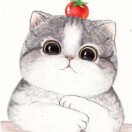 小草莓🍓