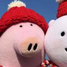 Knights Park Rubicon转租&房东直租