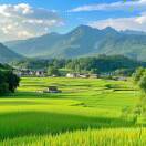 孙婷