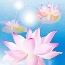 许君昊