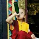 供-芝士粉酸奶粉蛋黄粉