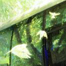 Avalon Courthouse Place转租&房东直租