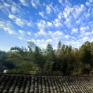 风哥的头像-熵减岛