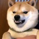 王清铃