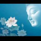 向光而行的头像-归元之道