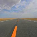 nqgs的头像-秀琴曲谱网