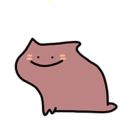 null转租&房东直租