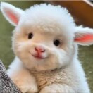 common people的头像-辰星笔记