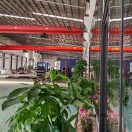 豫福激光切割《姚工》15975730576的头像-博士钣金 - www.bsbanjin.com