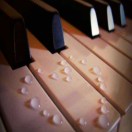 青扬的头像-STL下载网_3D打印模型网_3D模型库_3D打印模型素材_3D打印机