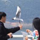 云工创客-周奇（77）