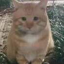 user_x7r5btkzm4whtss4 member profile picture