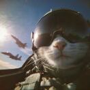 决明子.KAI的头像-音创社AI SonoCraft丨科技改变未来