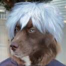 Makal的头像-梦马考研