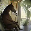 用户27021693的头像-博士钣金 - www.bsbanjin.com