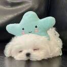 Happiness.💓的头像