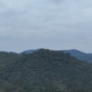 山里灵芝村