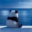 用户14358632的头像-博士钣金 - www.bsbanjin.com