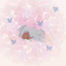 早點睡的头像 - 校园论坛