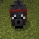 咪大王的头像 - 校园论坛