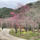荒野