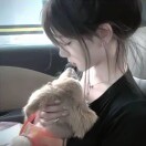 用户发起投诉