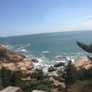 我心所向亦光明的头像 