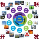 雲海