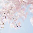 Monfly的头像-Monfly博客