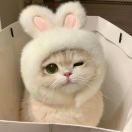 As addr转租