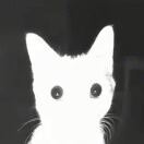 ゛栢先