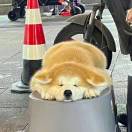 ？！