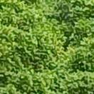 用户头标