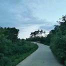 偏偏爱太重粤语