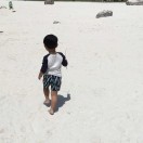 肖_767