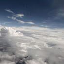 树大招风 的头像