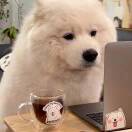 宇宙超级无敌运气好到炸暴龙战士