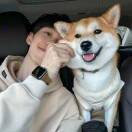 无恙🍃的头像-创薯资源