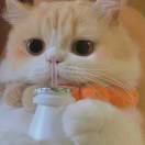 ！！！！的头像-工欲善其事，必先利其器宋辞云创