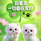 用户头标